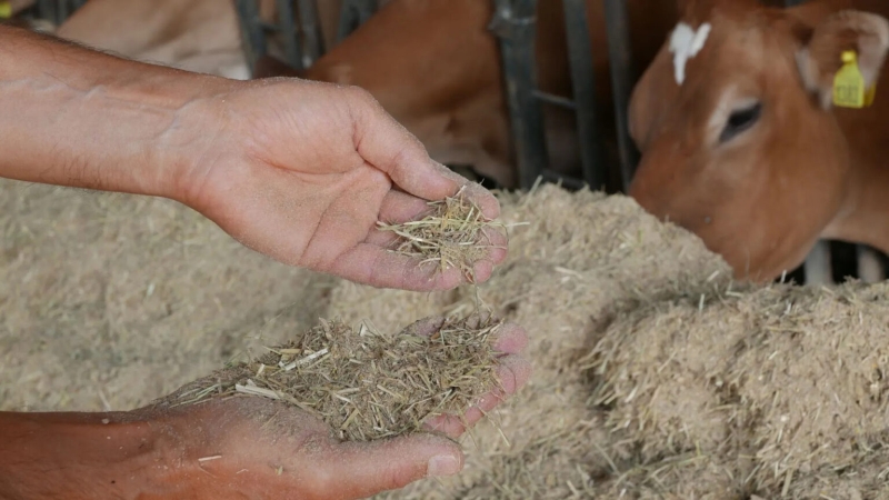 Perfect blend? Here are the mistakes to avoid